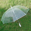 Convenient Transparent Umbrella Online
