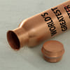 Gift Copper Water Bottle For Dad