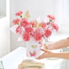 Buy Coral Beauty