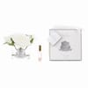Cote Noire Five Roses - Ivory White Online