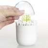 Cotton Bud Holder Online