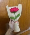 Coyu Red Rose