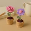 Gift Crochet Blooms Mini Rose And Daisy Set Of 2