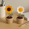 Crochet Blooms Mini Sunflower And Daisy Set Of 2
