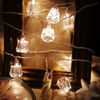 Crystal Dome String Light Online