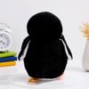 Buy Cuddle Buddy Black And White Penguin Plushie