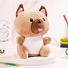 Shop Cuddles and Sweets Gift Combo