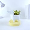 Cute Ceramic Dog Planter With Dwarf Snake Plant