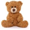 Cute Teddy Online