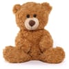 Cute Teddy