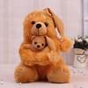 Cute Teddy Bears Online