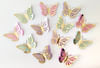 Buy Cutouts - Butterfly - Multicolor - Set Of 12