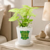 Dad's Lively Syngonium with Self-Watering Planter