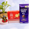 Decorated Ganesha with Sweet & Chocolate Online