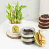 Delectable Chocolate Jar Cake With Two-Layered Bamboo Plant Online
