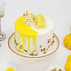 Buy Delicious Rasmalai Cake (1 Kg)