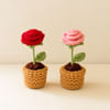 Gift Delightful Crochet Rose Pot Duo