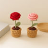 Delightful Crochet Rose Pot Duo Online