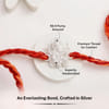 Buy Divine Ganesha 925 Sterling Silver Rakhi