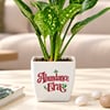 Buy Diwali Blessings & Abundance Plant Gift - Set of 2