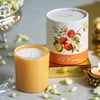 Buy Diwali Celebration Gourmet Gift Hamper