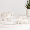 Shop Diwali Joy & Charm Hamper