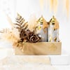 Shop Diwali Radiance Gift Hamper