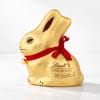 Shop Easter Special Blooms & Lindt Arrangement