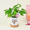 Easy-to-care Money Plant with Personalize Vase Online