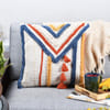 Eco-friendly Modern Cotton Cushion Online