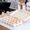 Gift Egg Holder Box - 18 Grids - Assorted - Single Piece