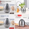 Shop Egg-Shaped Kitchen Timer - Assorted - Single Piece