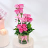 Buy Elegant Arrangement of Roses
