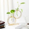 Elegant Money Plant With Gold Metal Stand Online