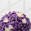 Buy Elegant Purple Daisy Arrangement with Led Lights