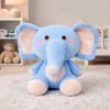 Buy Elephant Soft Toy and Magic Mug Gift for Rakhi