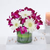 Enchanting Arrangement Online
