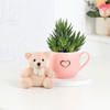 Buy Enduring Love Duo