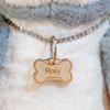 Engraved Bone Shaped Pet Tag Online