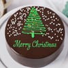 Shop Evergreen Pearl Christmas Cake