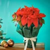 Evergreen Poinsettia Holiday Charm