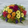 Extra Large Bold Brights Posy.