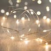 Fairy Lights - LED - Warm White Online
