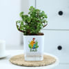 Gift Father's Day Jade Plant In Self Watering Planter