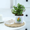 Buy Father's Day Jade Plant In Self Watering Planter