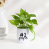 Father's Day No 1 Papa Money Plant In A Mug Father's Day No 1 Papa Money Plant In A Mug