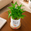 Shop Father's Day Personalized Bamboo Plant With Planter