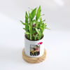 Gift Father's Day Personalized Bamboo Plant With Planter