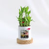 Father's Day Personalized Bamboo Plant With Planter Online