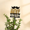 Buy Father's Day World's Best Dad Jade Plant